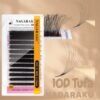 Kasa Nagaraku - Tufa te Gatshme 10D